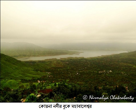 Koyna River flowing through Mahabaleswar